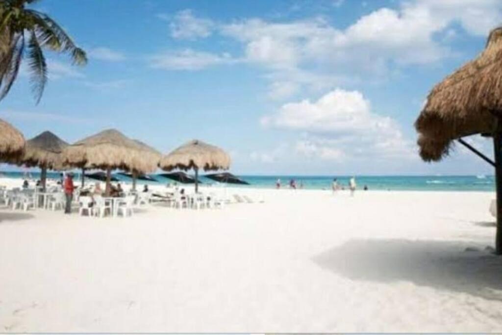 Believe Estudio Nuevo Centro * Playa del Carmen